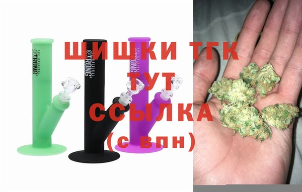 амф Верхний Тагил