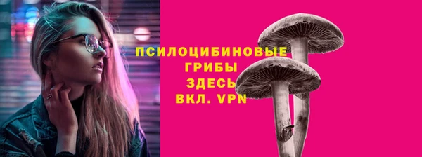 ешки Семилуки