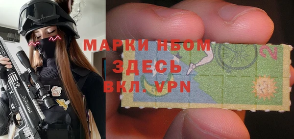 амф Верхний Тагил