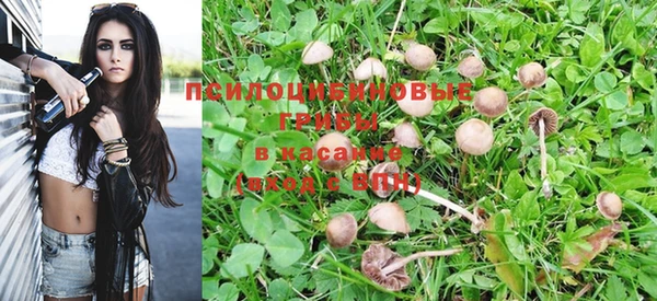 PSILOCYBIN Володарск