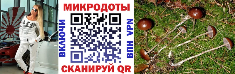 магазин продажи   Дубна  Галлюциногенные грибы прущие грибы 